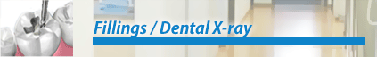 Fillings & Dental X-ray